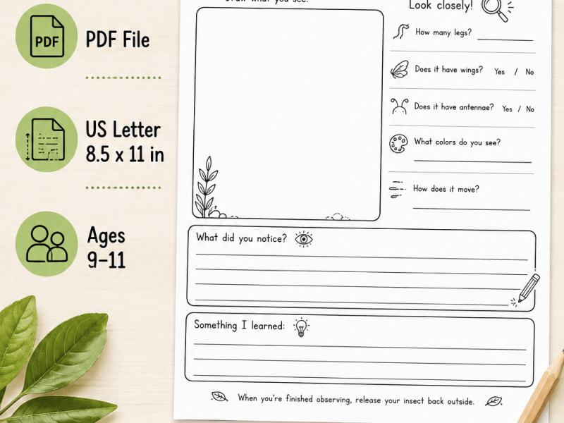 Free Insect Observation Worksheet for Kids | Homeschool Zoology & Nature&nbsp;Study