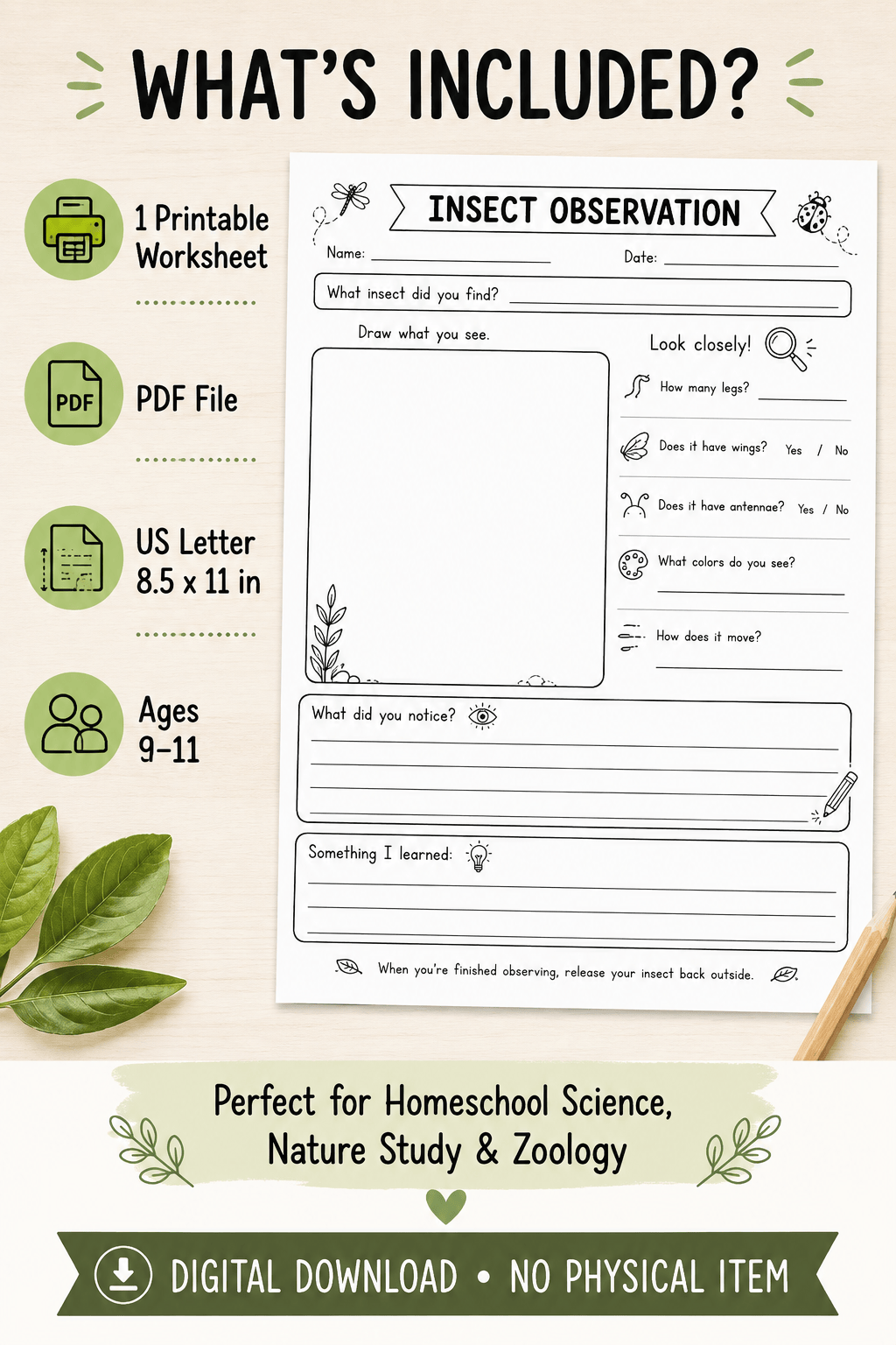 Free Insect Observation Worksheet for Kids | Homeschool Zoology & Nature Study