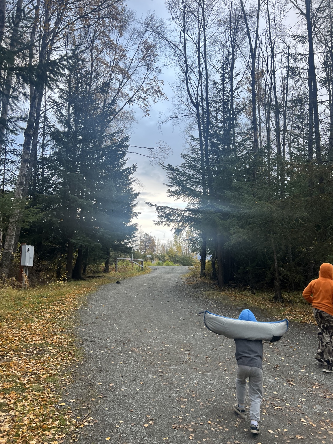 Gravel campground road lined with autumn trees at Bird Creek Campground