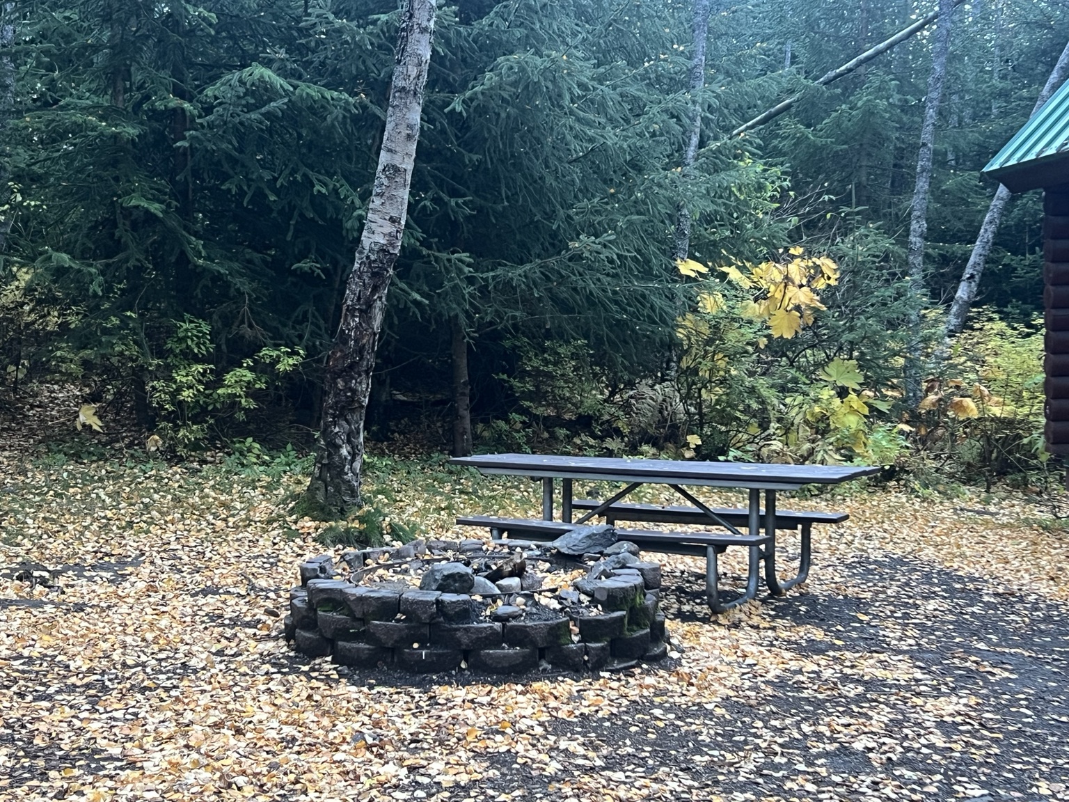 Outdoor fire ring and picnic table at Bore Tide Cabin in October