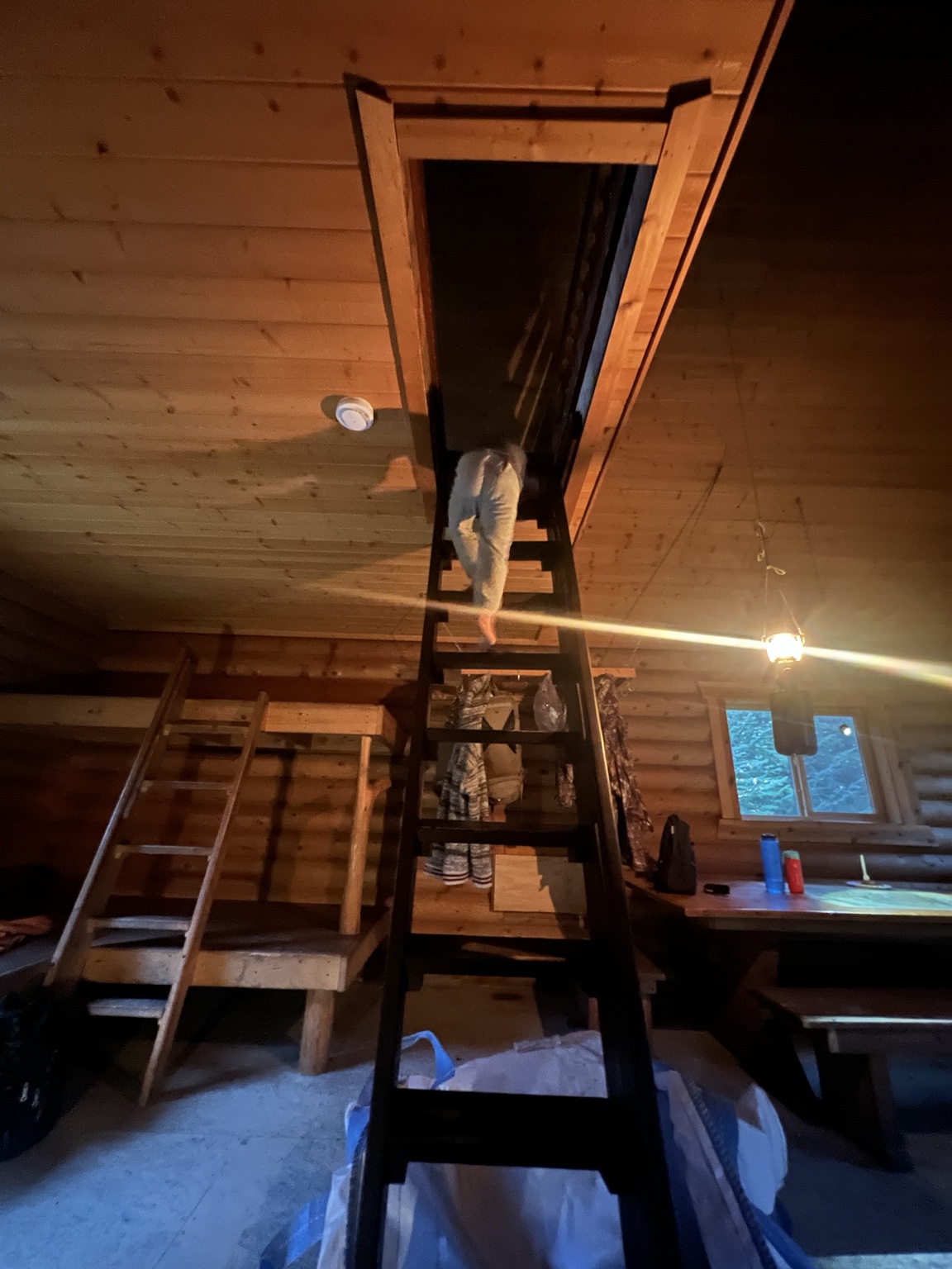 Steep stairs leading from the main room to the cabin loft